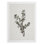 Imprimé floral rétro CLXVII - reproduction de toile seulement - non encadrée