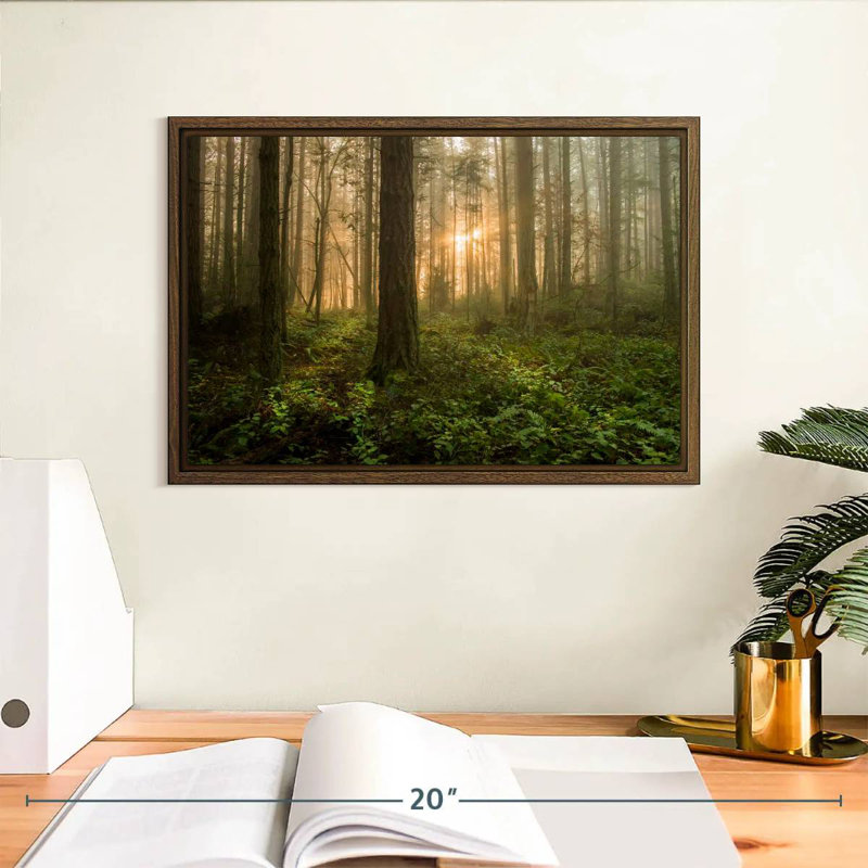 Lever de soleil sur la forêt de l'île Lummi, 13 po x 9 po, Cadre flottant noyer