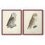 Impression encadrée V-French French Owls - prêt à être accroché - aucun clou requis - aucun clou requis-1395657815-1395657809