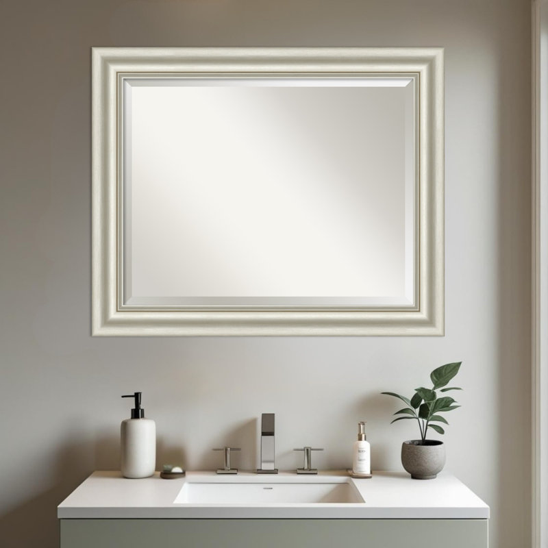 Miroir mural de salle de bain Sophia, Argent argent, 27,5 po x 33,5 po