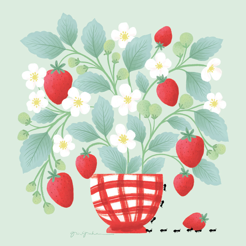 «Strawberry Patch On Canvas» par Gia Graham, reproduction, H 12 po x l 12 po
