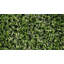 Faux Foliage Grass