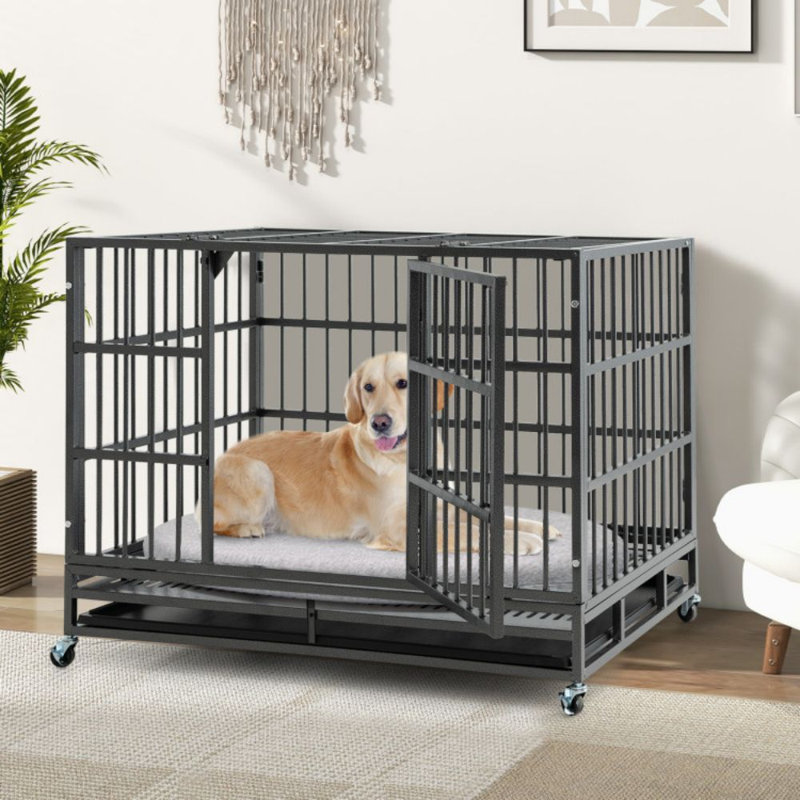 Cage à chien pliable en métal robuste avec roulettes verrouillables et plateau, H 35 po x l 48 po x P 30 po
