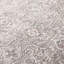 Oriental Area Rug in Grey / Ivory-1755028840
