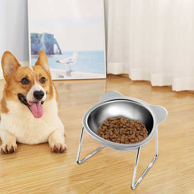 Cats Bowl Dog Dog Bowl
