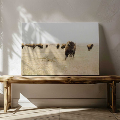 Impression sur toile Wild Plains