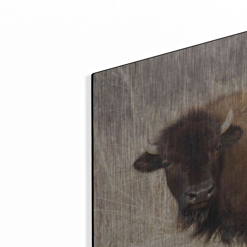 " American Bison I " by Debra Van Swearingen, 24" H x 36" W