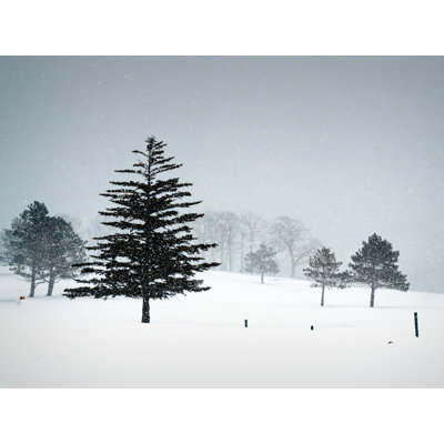 Valentines Day Snow Print by Tom Kostes