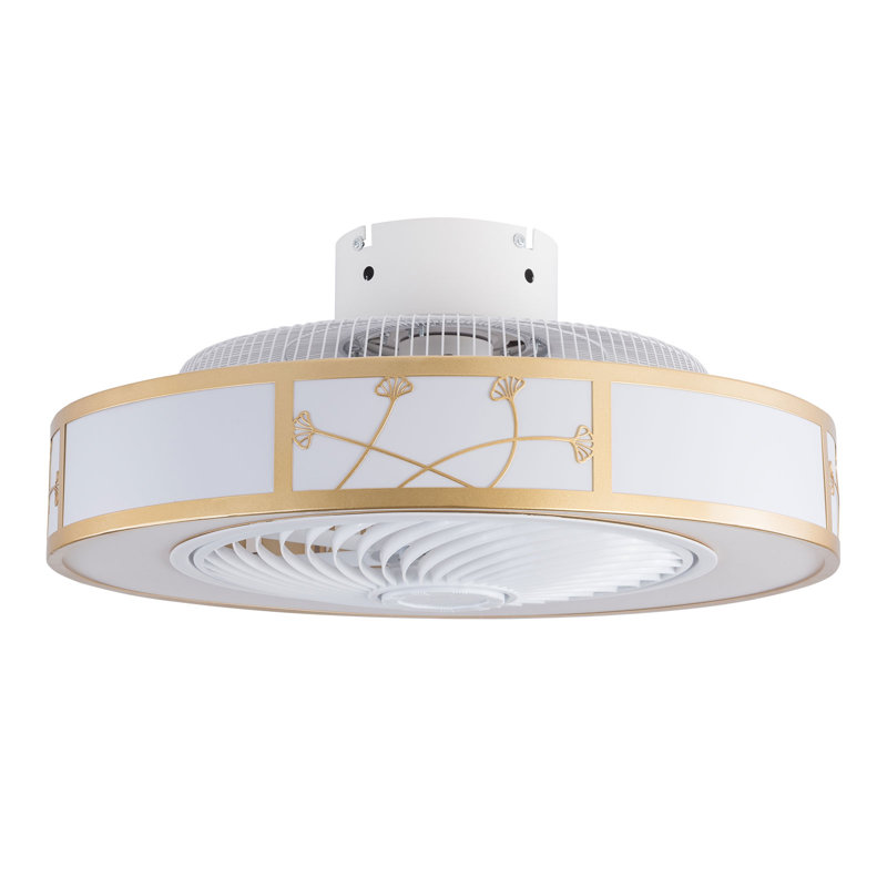 Ventilateur de plafond cage à 5 pales Evamae avec ensemble d'éclairage inclus, Blanc