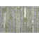 Premium Machine Washable Slesnick AMF1665 Stripes Rug