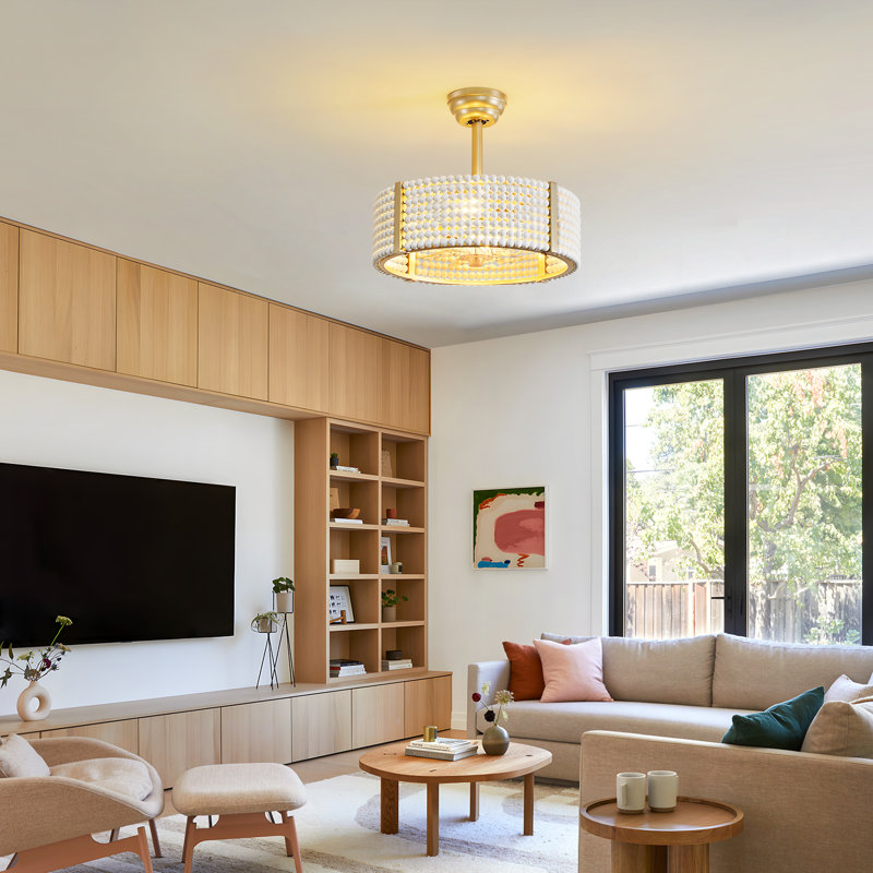 20'' Boho Caged Ceiling Fan with Light Kit and Remote Control