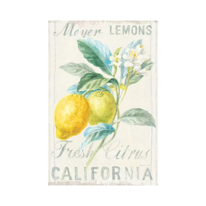«Floursack Lemon II», reproduction sur toile tendue, H 26 po x l 18 po x 1,5 po, Toile tendue