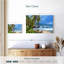 Gillard Bathsheba Gillard Coast-107702252