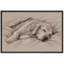«Sleeping Golden Retriever», impression sur toile encadrée, impression sur toile-131636366-131636371