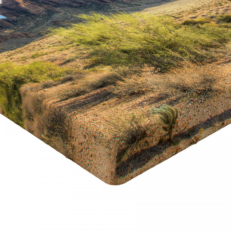 Drap-housse Saguaro, Drap-housse grand