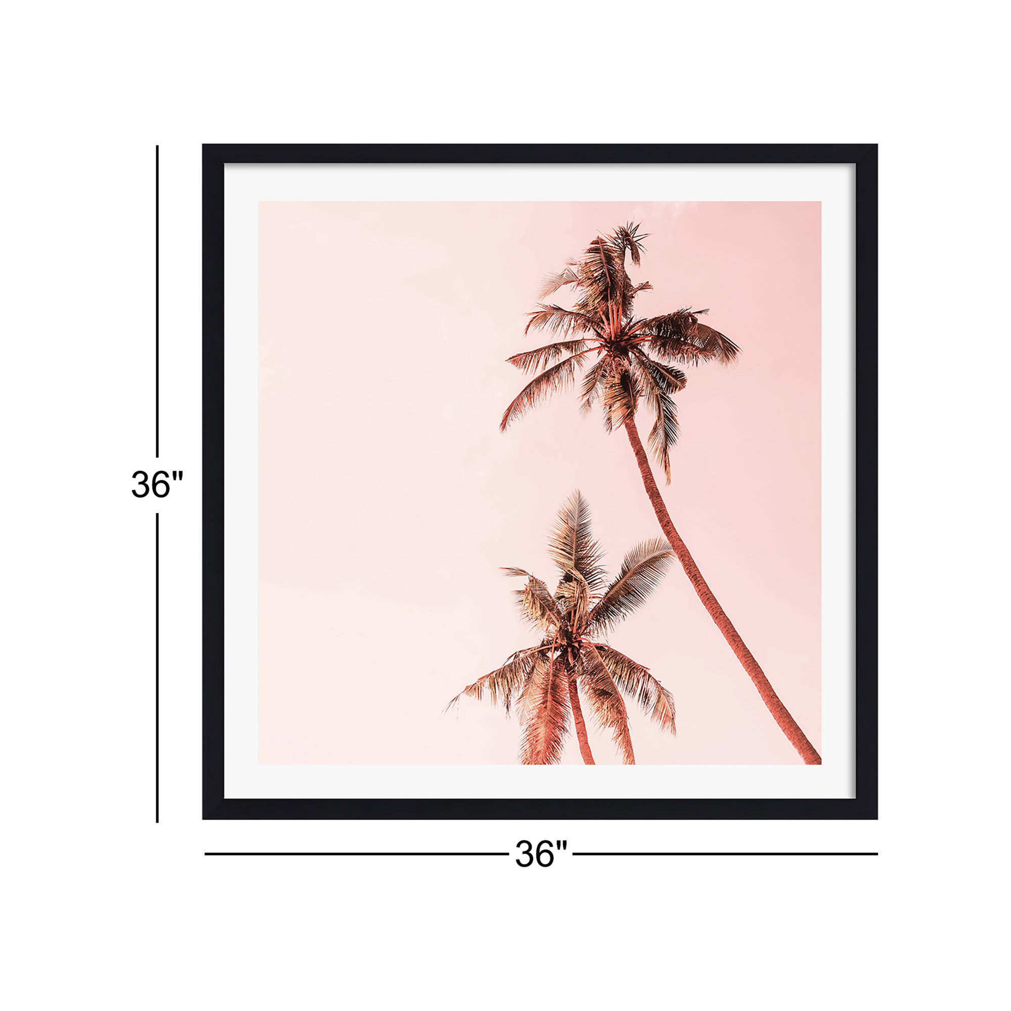 Sunset Palm Trees by Gale Switzer, Black Single Picture Framed, Yes, 36" H x 36" W x 0.75" D