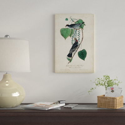 " Flycatcher & King Bird " by James Audubon