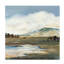 Dazzling Field I Print by Sara Brown-26724581-26724582