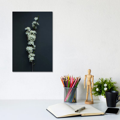 Blackthorn Blossom by Alyson Fennell - Wrapped Canvas Print