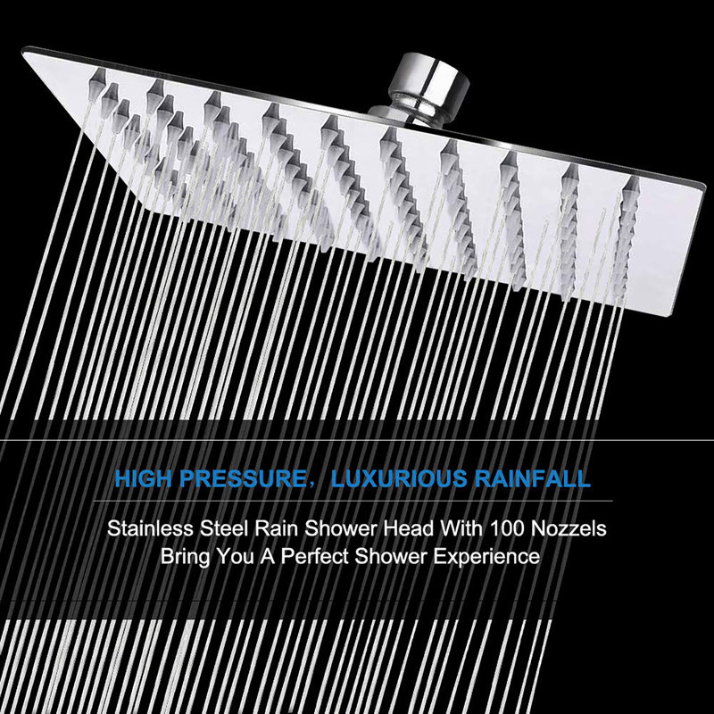8-Inch Shower Set With Hose, Chrome Finish
