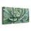 Succulent - Toile tendue avec châssis de qualité supérieure - Prêt à être accroché