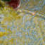 La Mer Handmade Floral Tablecloth-1540355926-1598181327
