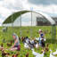 Chicken Coop-526874734