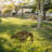 Hand-Painted Decorative Garden Object, 100% Metal, 17.3 x 19.7 inches | Thickness: 0.06 inches | Lightweight (1.3 lbs), No Assembly Required | Unique Color Variations for Charming Outdoor Decor-798739198