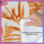 Édredon orange à feuilles tropicales-130505077