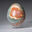 Polished Polychrome Egg From Madagascar (0.6 Lbs)-103622241-103622242