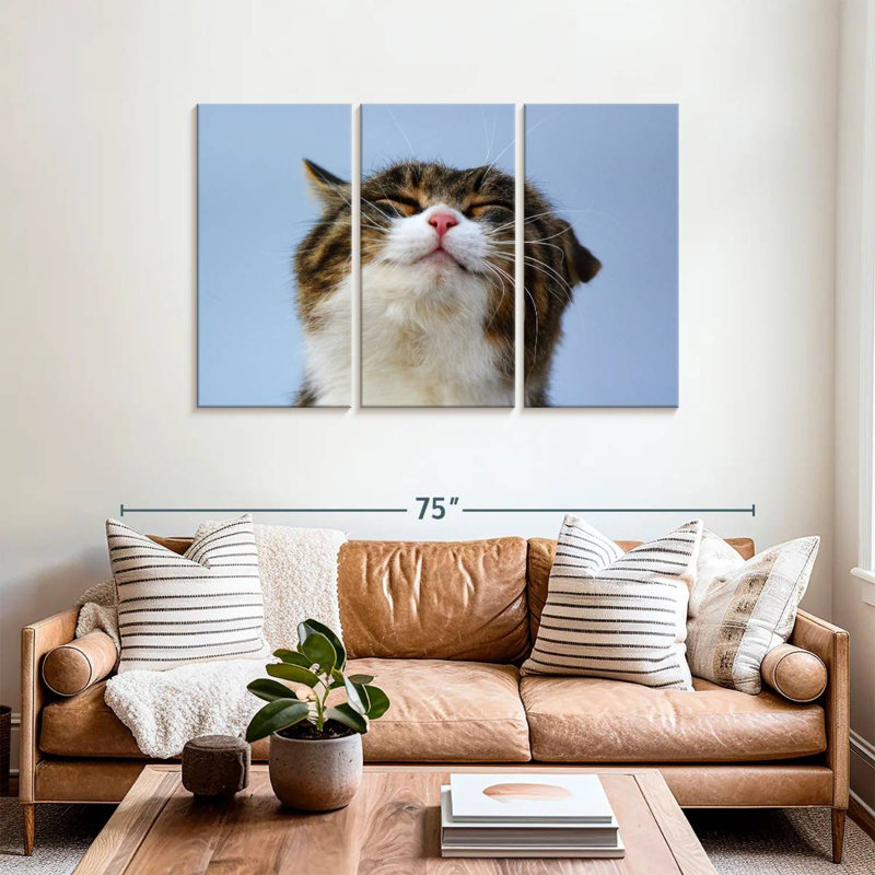 Chat raflé Brampt, H 36 po x l 57 po