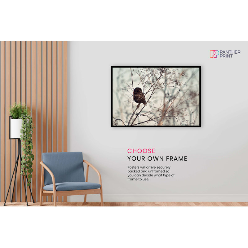 Owl In Winter - Wrapped Canvas Print, 31cm H x 46cm W, Paper