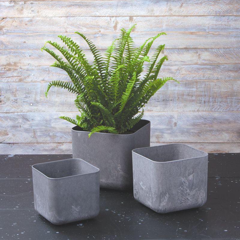 Ensemble de 3 pots à fleurs Eziah, Gris