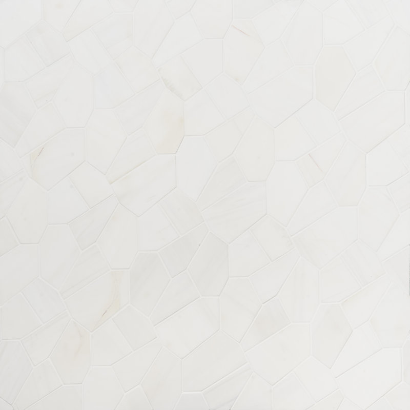 Carreau de mosaïque en pierre naturelle pittoresque l 11,81 po x L 19,68 po, Dolomite White