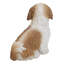 Statue chien assis Shih Tzu-96432508