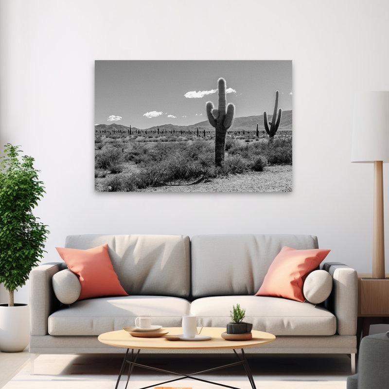 Plantes, fleurs, paysage, nature, cactus argentin, art mural, H 40 po x l 60 po