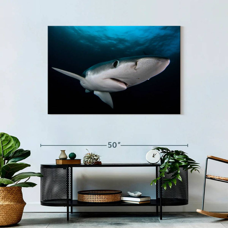 Brampt Underwater Blue Shark, 30" H x 45" W