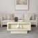 Caomhan Pedestal Coffee Table with Storage