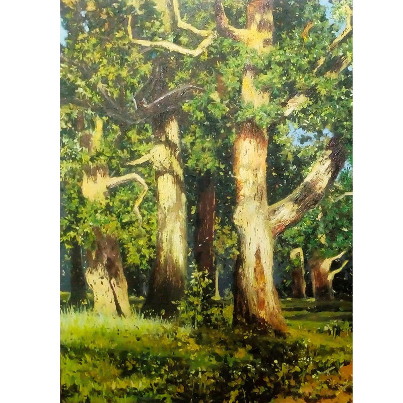 Soleil matinal sur les arbres | Huile sur toile | Décoration murale