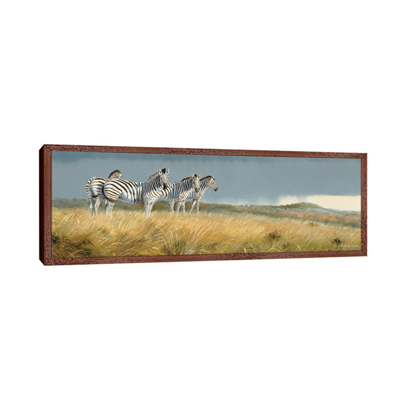 Zululand Zebras 1 Piece Panoramic Wall Art on Canvas, 30.48 cm H x 91.44 cm W x 4.445 cm D, Classic Wood Floater Framed