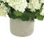 UV Protected Geranium Arrangement-1223956724-1223956725