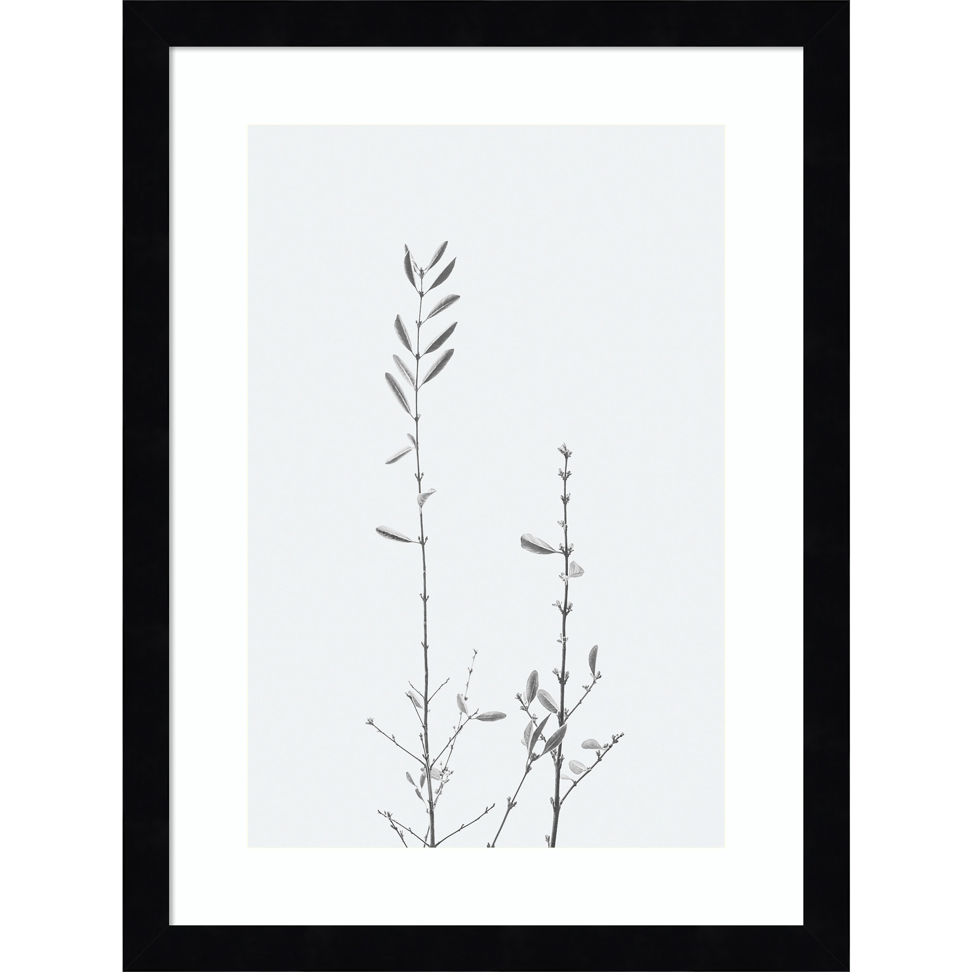 Adela Retro Tennessee Botanical Print No 2 Framed On Paper by Adela Photograph, 17" H x 13" W x 1" D, Black