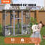 Cage d'extérieur pour chat