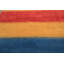 Tapis en laine noué à la main 8 po x 11 po Indo Gabbeh