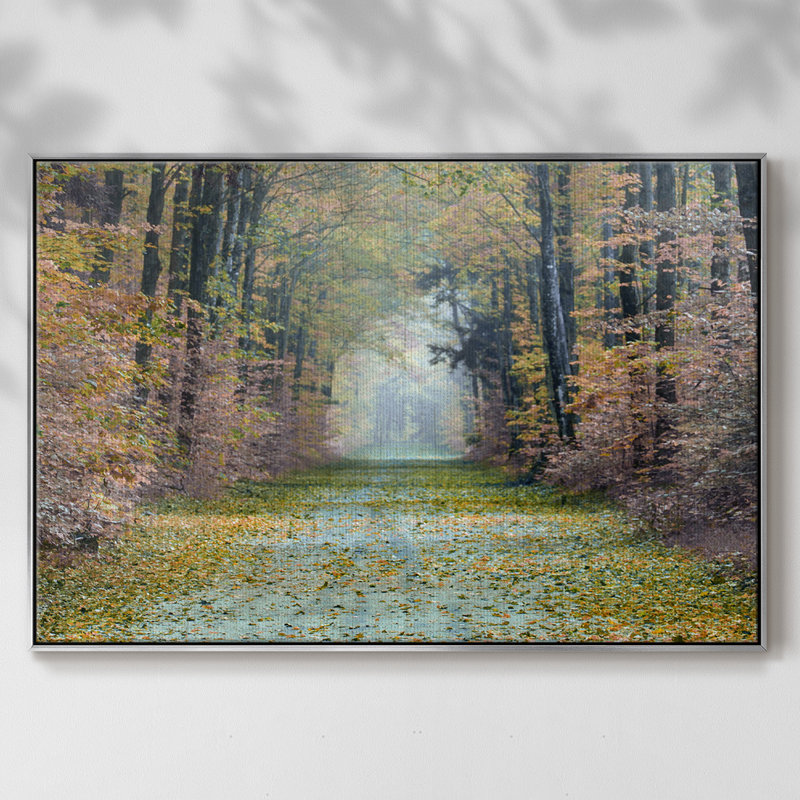 Enchanted Path, reproduction d'art sur toile, H 17 po x l 25 po x P 2 po, Argent