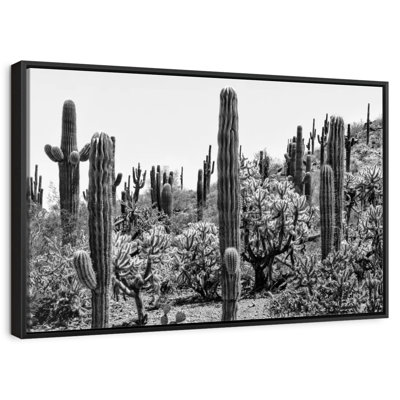 Black Arizona - Amazing Cactus I