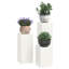 Plant Stand-1292622678