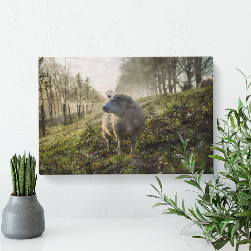 Woolly Sheep - Wrapped Canvas, 50cm H x 76cm W x 3cm D