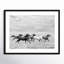 Horse Run I by PHBurchett-558661564-558661566