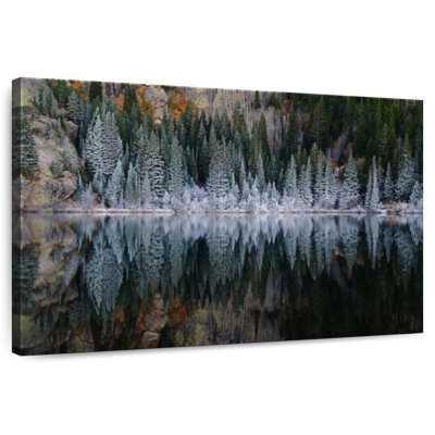 Forêt de pins d'Alvord Bear Lake